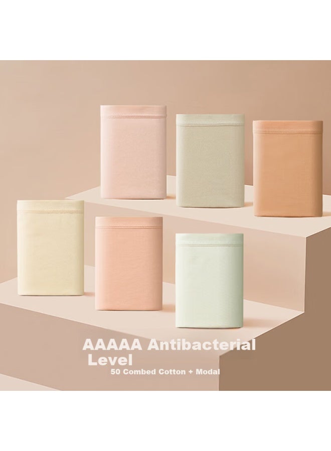 Hongdou Women's Cotton Soft Elastic Antibacterial Breathable Solid Color Simple Triangle Underwear 4-pack Spring Summer - Image 2