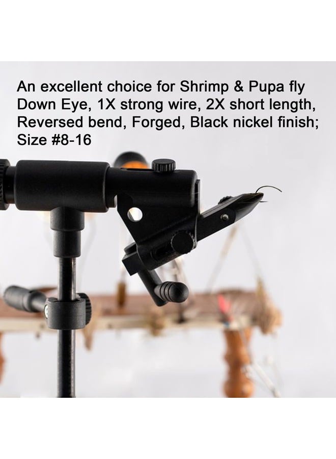EUPHENG Fly Fishing Hooks 100pc Pack Barbless Catch & Release Dry Wet Nymph Shrimp&Pupa, Streamer, Caddis, Jig, Scud Flies Fishing Hooks (#10, EP Fly-C&R-NYM-0031) - Image 3