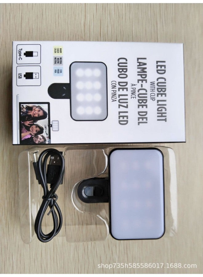 Desktop Beauty Leg Pocket Fill Light With Microphone Suit SLR Conference Light Handheld Photography With Microphone-Specifications:Bgd-11a Charging Model  - Image 1