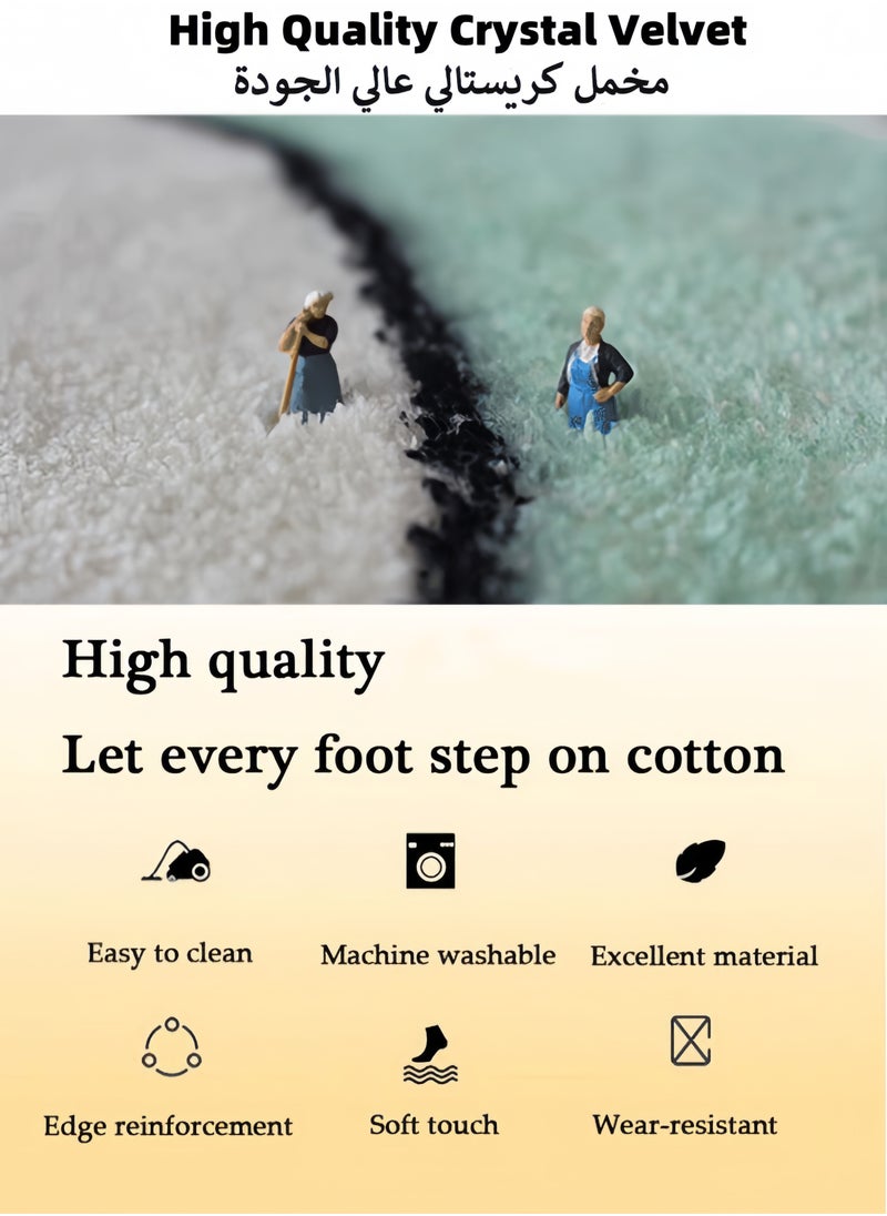 Area Rug, 120 x 160cm Large Mat Carpet Washable Floor Mat Runner Rug Rectangular Soft Touch Carpet Printed Floor Carpet with Non-Slip Backing for Living Room, Entryway, Dining Room, Indoor, Kids Playroom