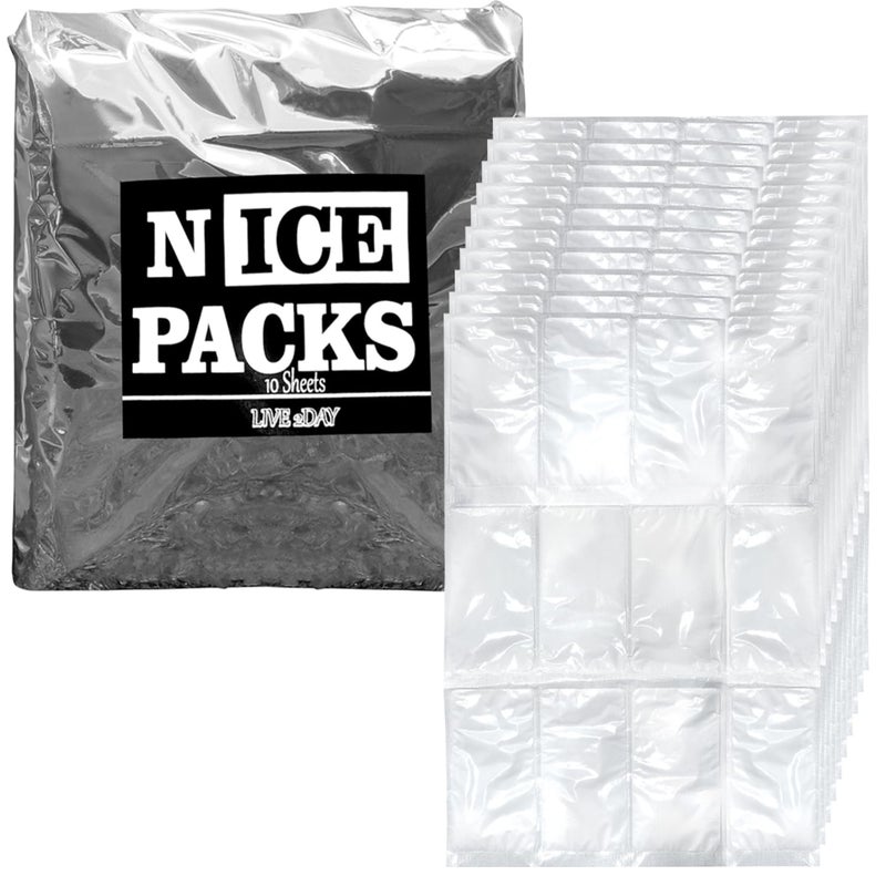 LIVE 2DAY Nice Packs Reusable Dry Ice Packs for Coolers Lunch Boxes Frozen Food Shipping  Flexible and Long Lasting 10 Large Sheets