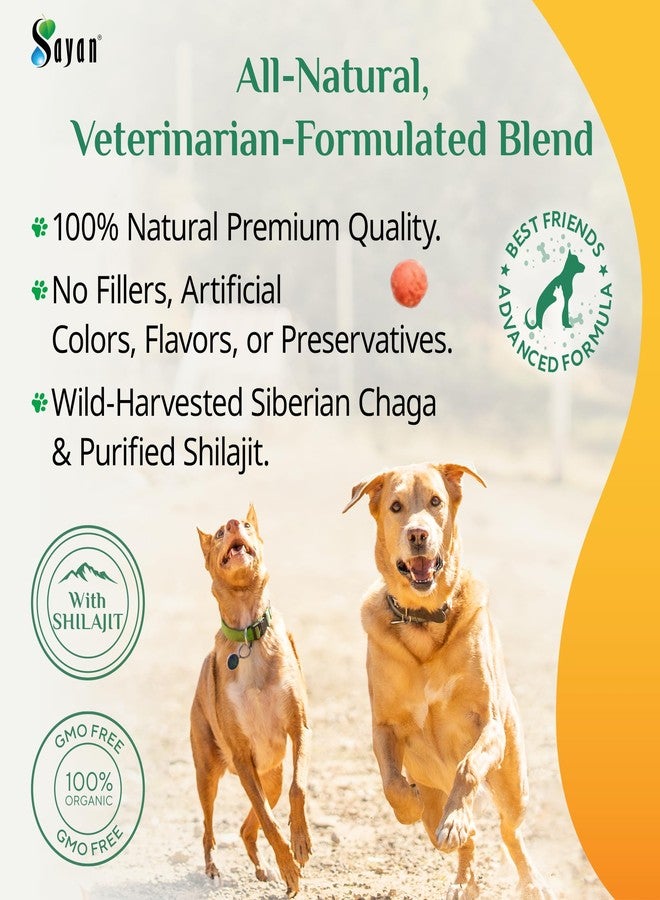 Sayan Chaga + Shilajit Pet Supplement (30 Sachets) – All-Natural Adaptogen Blend for Dogs & Cats – Immune, Joint, Energy & Digestive Support – Herbal Blend – 100% GMO-Free, Vet-Formulated - Image 2