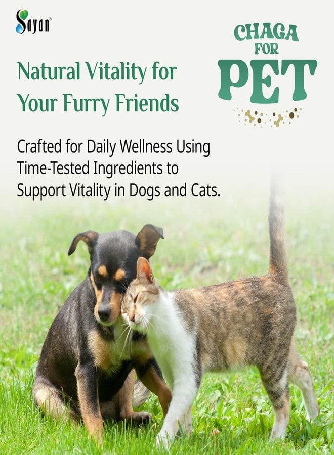 Sayan Chaga + Shilajit Pet Supplement (30 Sachets) – All-Natural Adaptogen Blend for Dogs & Cats – Immune, Joint, Energy & Digestive Support – Herbal Blend – 100% GMO-Free, Vet-Formulated - Image 3