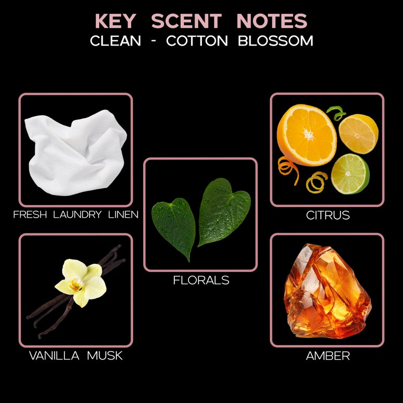 LOVSPA Reed Diffuser Set, Clean Cotton Blossom Scented Oil Diffuser with Sticks, Home Fragrance Accessories for Bathroom Shelf Decor, Aroma Diffusers for Home or Office Desk, USA Made - Image 3