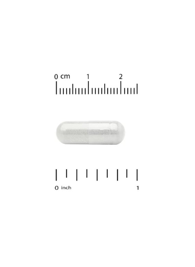 California Gold Nutrition LactoBif® 65 Probiotics, 65 Billion CFU, 30 Veggie Capsules  - Image 3