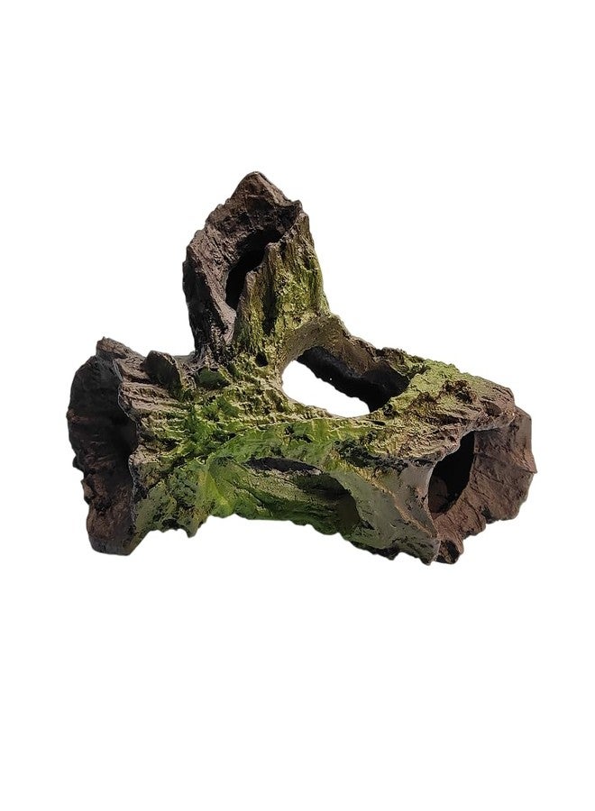 GIG BAZAAR-Aquarium Pleco Cave Natural Wood Fish Shelter & Breeding Hiding Spot Area for Shrimp and Small Fish,Aquarium Wooden Decor with Small Holes. - Image 2