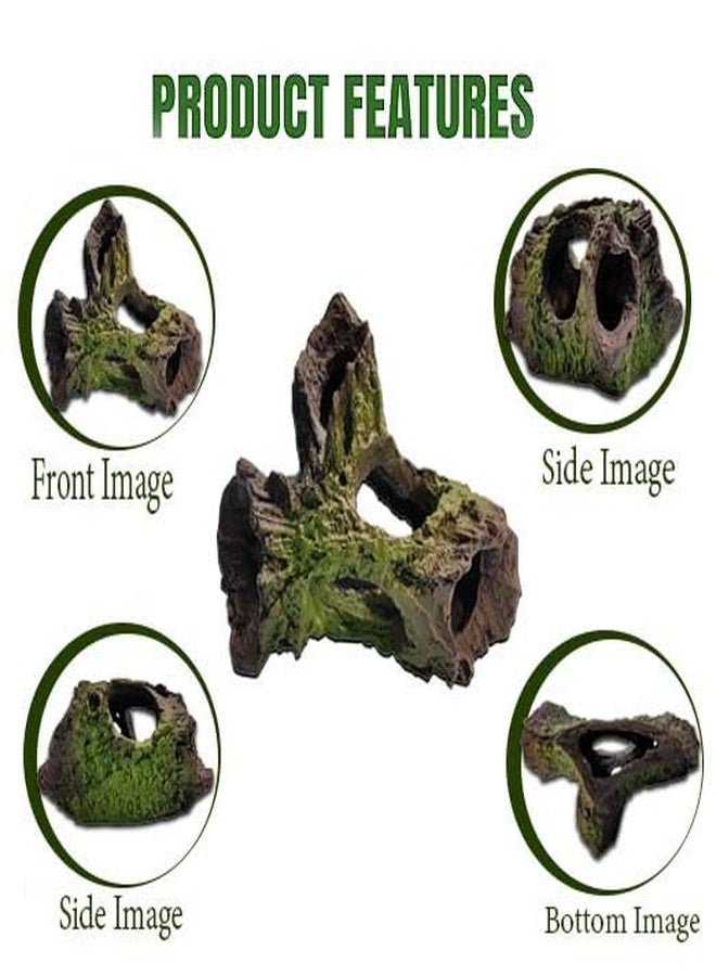 GIG BAZAAR-Aquarium Pleco Cave Natural Wood Fish Shelter & Breeding Hiding Spot Area for Shrimp and Small Fish,Aquarium Wooden Decor with Small Holes. - Image 3