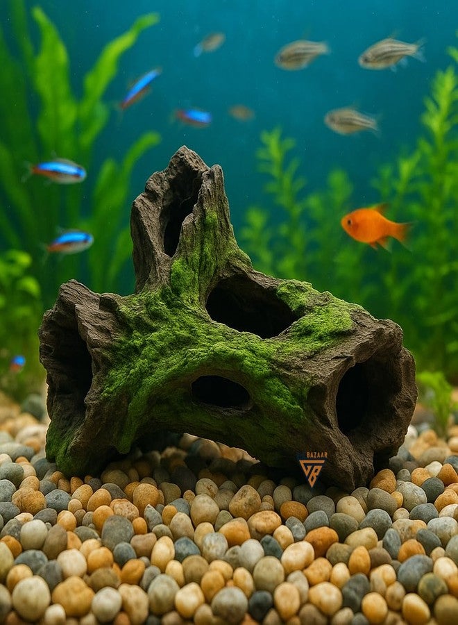GIG BAZAAR-Aquarium Pleco Cave Natural Wood Fish Shelter & Breeding Hiding Spot Area for Shrimp and Small Fish,Aquarium Wooden Decor with Small Holes. - Image 1