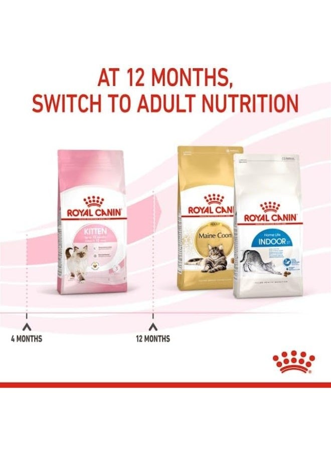 رويال كانين طعام رويال كانين للقطط الصغيرة الجافة، حتى عمر 12 شهرًا - Image 3