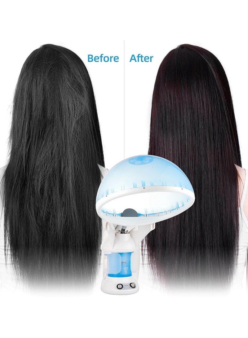 DubaiGallery 2 In1 Hot Hair Humidifier & Facial Steamer Professional Facial Heating Air Mist Steamer Salon Vaporizer Skin Cleansing With Box - Image 4