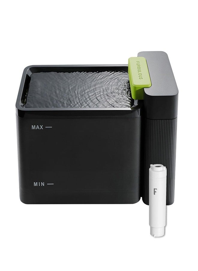 موزع مياه الشرب الأوتوماتيكي من فيربولوس ترو كلين مع نظام ترشيح فائق، مصنوع من الفولاذ المقاوم للصدأ 316 وصينية خالية من مادة BPA، وعاء كبير سعة 3.3 لتر/112 أونصة، نافورة ثنائية الوضع للقطط/الكلاب المتوسطة/الحيوانات الأليفة (أسود، مطور) - Image 1