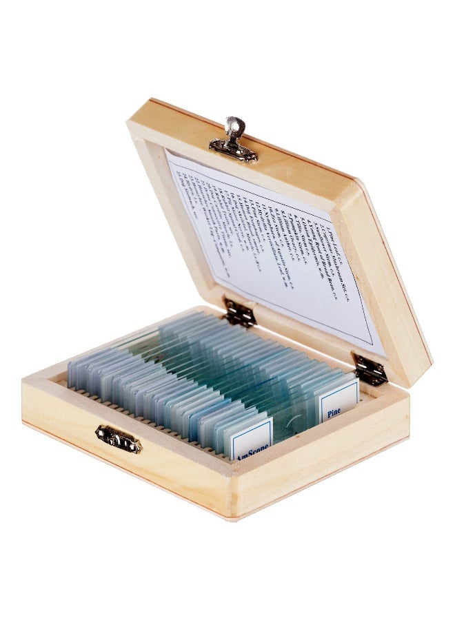AmScope PS25 Prepared Microscope Slide Set for Basic Biological Science Education 25 Slides Includes Fitted Wooden Case Brown - Image 1