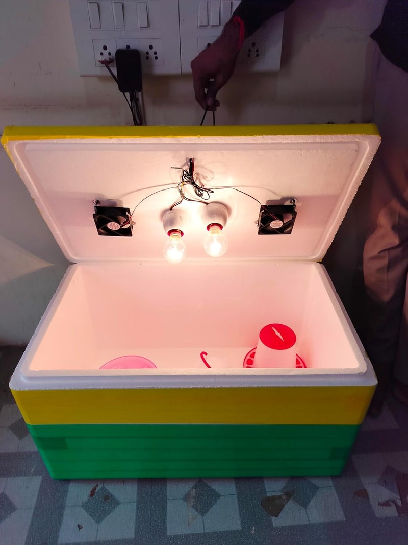 TMW TMW Eggs Semi Automatic EPS Thermocol Incubator usefull for chicken quail duck turkey goosereptilepeacockparrot  - Image 4