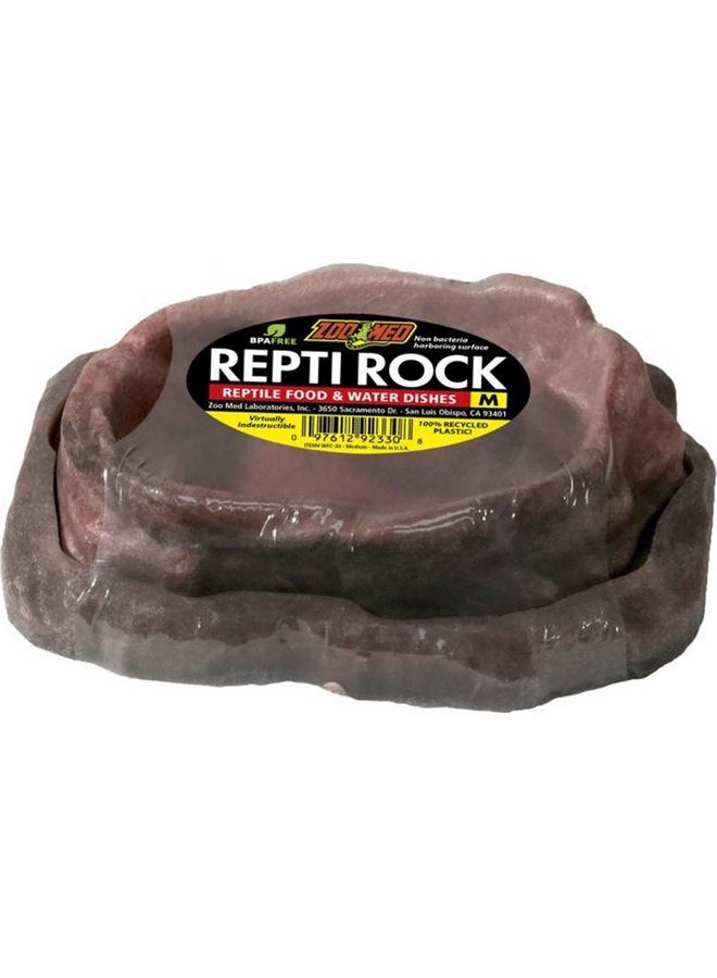 Zoo Med Repti Rock Food and Water Dish Combo