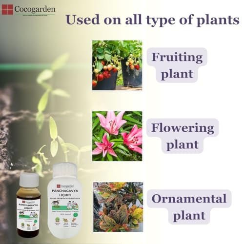 Cocogarden Panchagavya Organic Liquid Fertilizer for plants 50 ml, Plant Growth Promoter, Bio Stimulant, Booster for Speed Growth, Flowering & Fruiting Home Garden - Image 4
