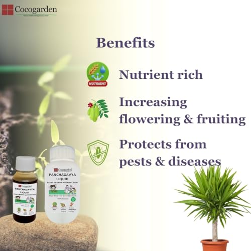 Cocogarden Panchagavya Organic Liquid Fertilizer for plants 50 ml, Plant Growth Promoter, Bio Stimulant, Booster for Speed Growth, Flowering & Fruiting Home Garden - Image 3