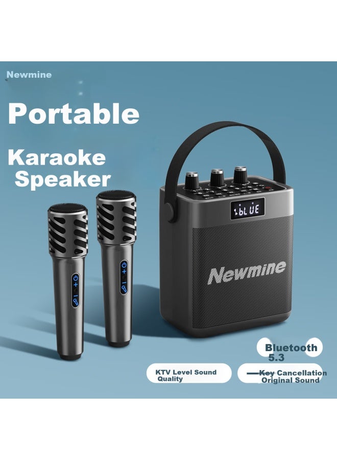 Newmine مكبر صوت بلوتوث K519 مكبر صوت منزلي Ktv لاعب موسيقى عالي الطاقة جودة صوت عالية لاسلكي محمول هدية عملية عمر بطارية فائق الطول ميكروفونين مزدوجين - Image 1