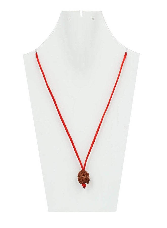 ASTRODIDI Nepali Ganesha Rudraksha with Red Thread for Daily Wearing | Original Certified Natural Nepali Ganesha Rudraksha Trunk Bead | Unisex Design for Men and Women - Image 2
