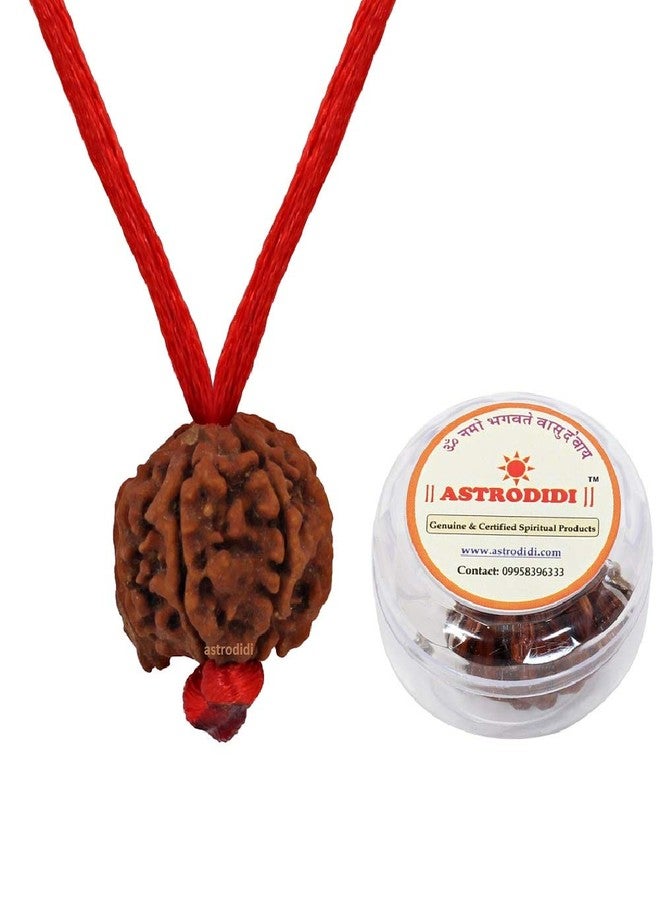 ASTRODIDI Nepali Ganesha Rudraksha with Red Thread for Daily Wearing | Original Certified Natural Nepali Ganesha Rudraksha Trunk Bead | Unisex Design for Men and Women - Image 1