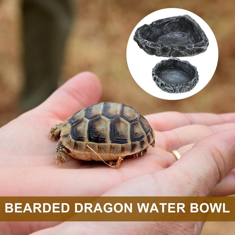 Long term use design ERINGOGO 2pcs Reptile Water Holder and Food Dish Set, Small and Right-Angle Turtle Feeder Bowls for Lizards, Snakes, Tortoises, Bearded Dragons – Sturdy Feeding Containers All space matching look Priority based order prep Multi-goal comprehensive design Trendy widespread design Experience optimized build Easy assemble alternatives Space saving Detachable clean Mountain region eligible ship Ready post purchase fulfill Major city pickup option Regional central warehouse stock Consistent single item quality Economical varied sizing picks Globally trusted quality Gulf user preference oriented build Wide use compliant quality Elegant upgraded practical design Cost saving user oriented build Gulf standard sizing alternatives All-season available stock Treated anti-rust metal Flexible sizing options Globally spread simple design - Image 3
