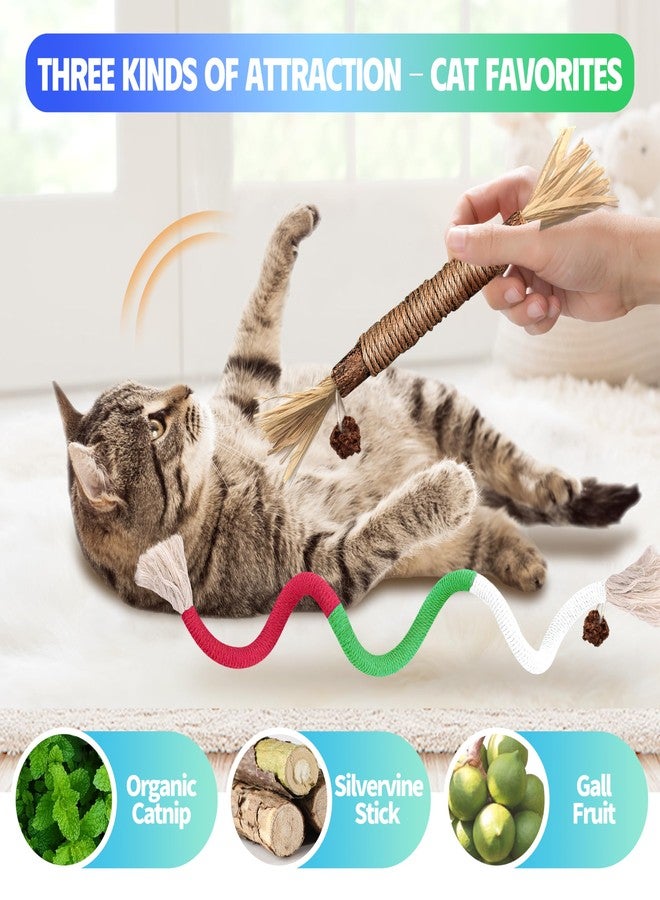 GBSYU Cat Toys Chew Rope & Silvervine Sticks for Bored Indoor Adult Cats, 4Pcs Interactive Catnip Toys for Cats with Refillable Natural Catnip Bag for Teeth Cleaning - Image 2