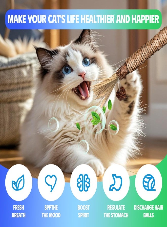 GBSYU Cat Toys Chew Rope & Silvervine Sticks for Bored Indoor Adult Cats, 4Pcs Interactive Catnip Toys for Cats with Refillable Natural Catnip Bag for Teeth Cleaning - Image 5