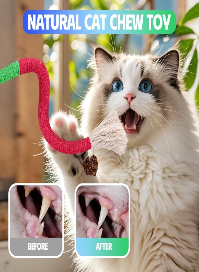 GBSYU Cat Toys Chew Rope & Silvervine Sticks for Bored Indoor Adult Cats, 4Pcs Interactive Catnip Toys for Cats with Refillable Natural Catnip Bag for Teeth Cleaning - Image 3