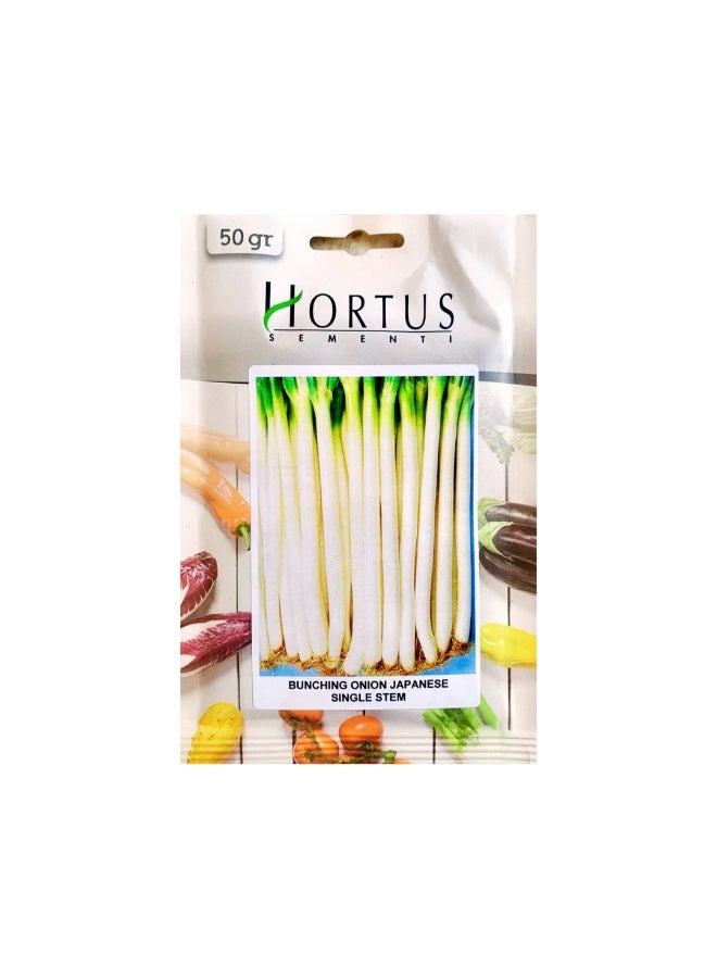 Lipson White Green Onion Seeds 50g