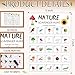 Hoolerry 30 Pcs Nature Scavenger Hunt for Kids Road Trip Game Car Spring Summer Easter Scavenger Hunt Cards Travel Activities Camping Games Outdoor Indoor Seek Activity for Kids AdultsNature - Image 4