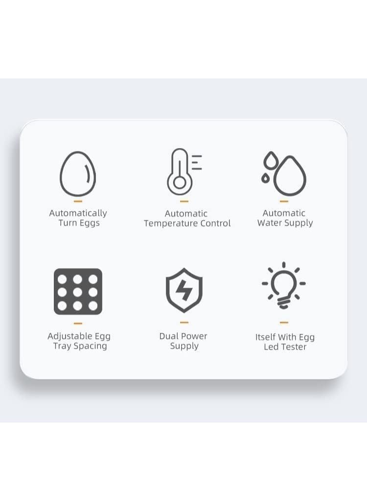 Neo Classic 24 Egg Drawer Type Dual Power Automatic Egg Incubator - Blue 002 - Image 4