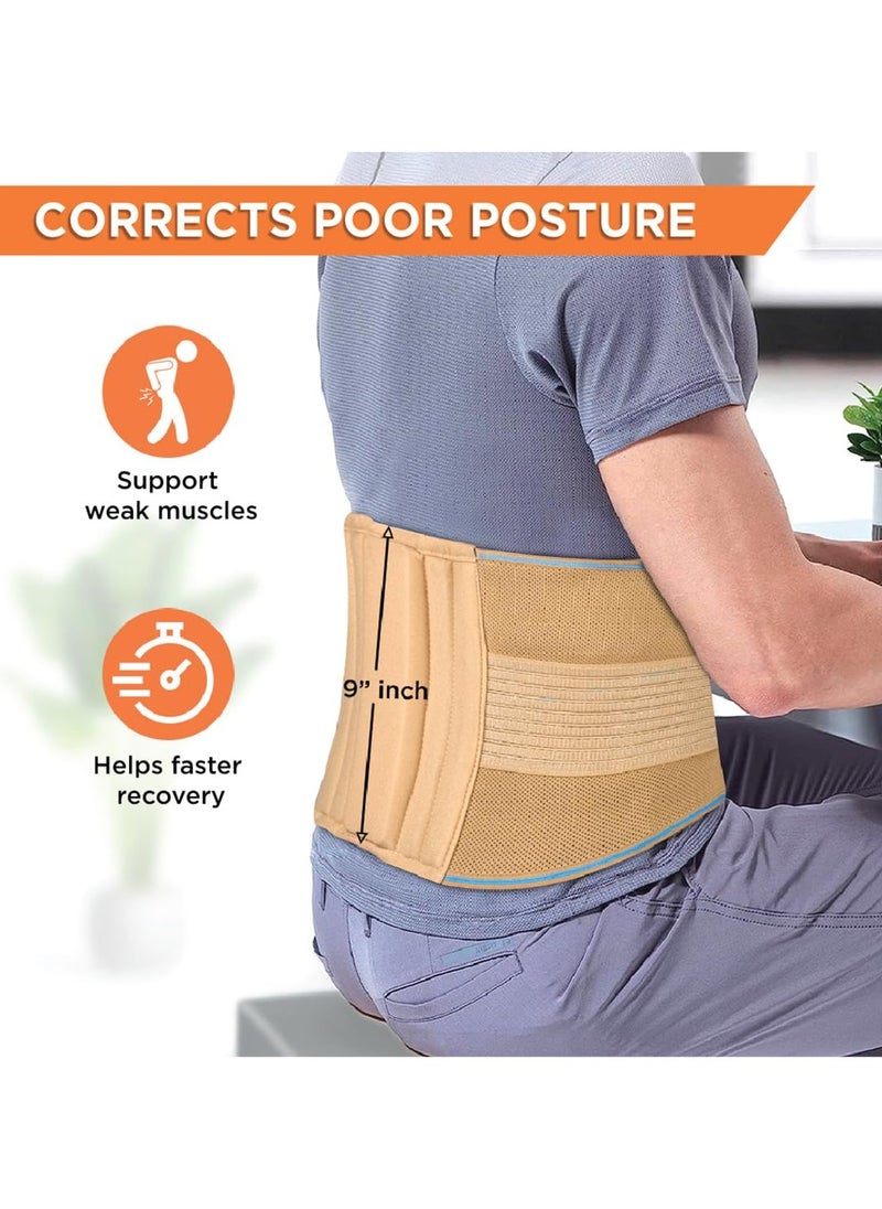VISSCO - Vissco Sacro Lumbar Belt (Mild Support) | Provides Support to Lower Back | Corrects Posture & Relieves Back Pain - Image 1
