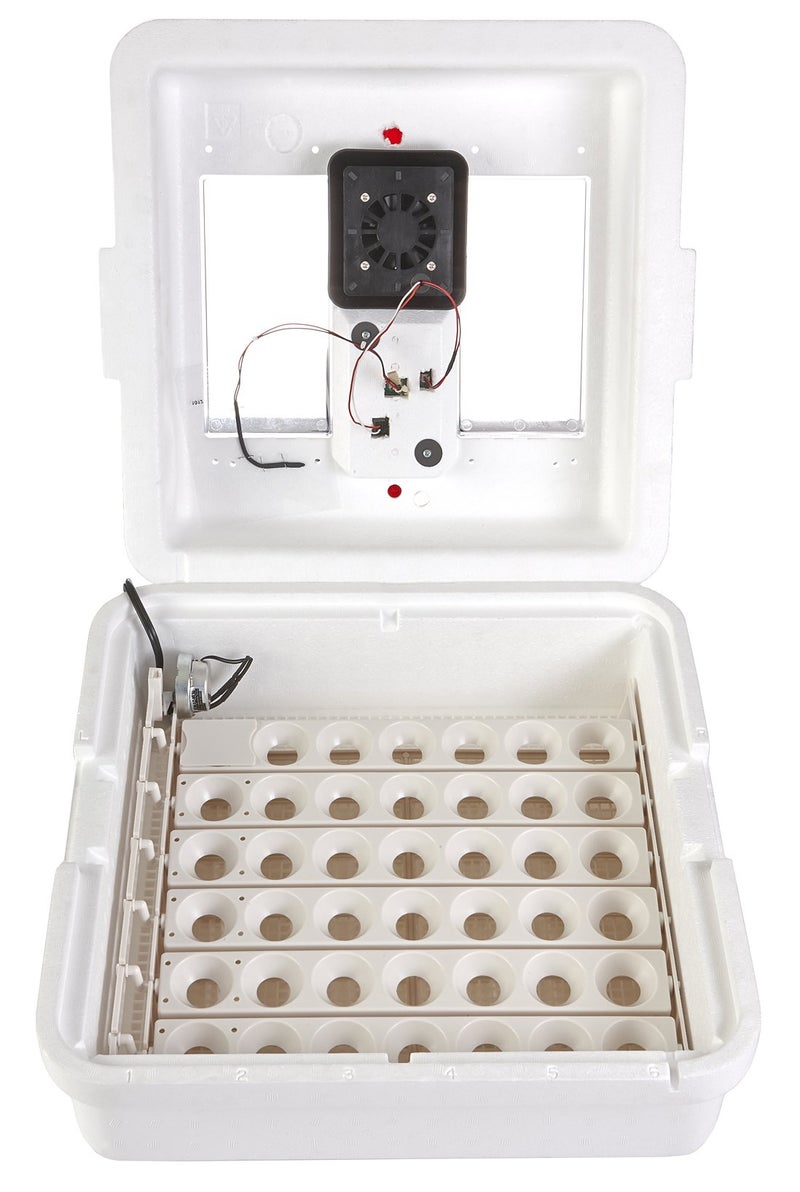 Little Giant Little Giant Digital Circulated Air Incubator with Automatic Turner  41 Eggs  Egg Incubator with Fan and Egg Turner 