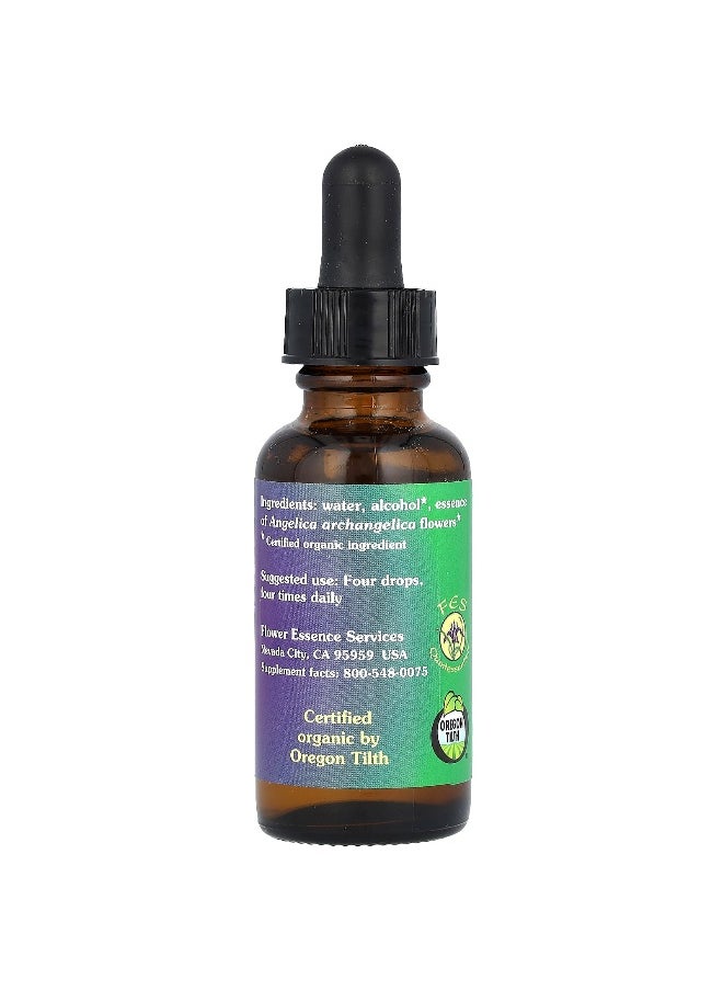 Flower Essence Services Flower Essence Services, Angelica, Flower Essence, 1 fl oz (30 ml)  - Image 2