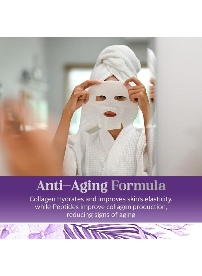 إنفي قناع الوجه الورقي بالكولاجين والببتيدات من إنفي - مرطب، مضاد للشيخوخة، يقلل من ندبات حب الشباب والتجاعيد - تم اختباره من قبل أطباء الجلدية، منتجات كلين بيوتي للعناية بالبشرة الكورية لجميع أنواع البشرة - 5 أقنعة - Image 3