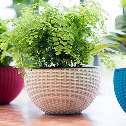 Bianco Round Rattan Woven Hanging Planters with Hanging Chain, Hanging Pots for Plants Balcony (White, Set of 7, 7.1x4.8 Inch) - Image 3