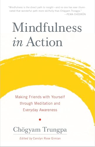 Mindfulness In Action Making Friends With Yourself Through Meditation And Everyday Awareness 