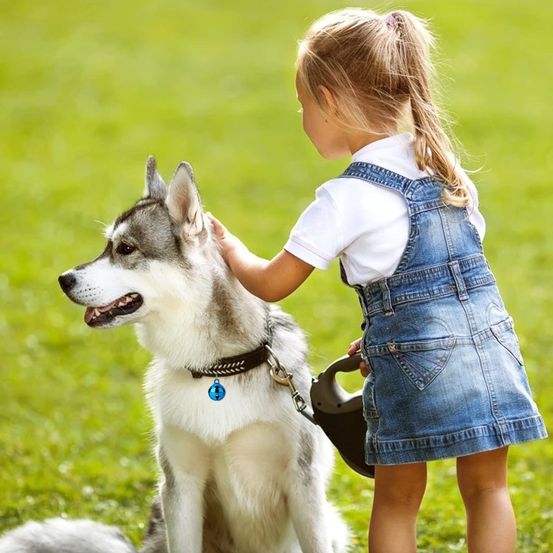 Molain 10 Pcs Cat Dog Collar Bells, Jingle Bell for Cat Collar,Dog Collar Charms,Colourful Pet Small Bells with Clasps Collar Accessories,Festival Party DIY Crafts Decoration - Image 5