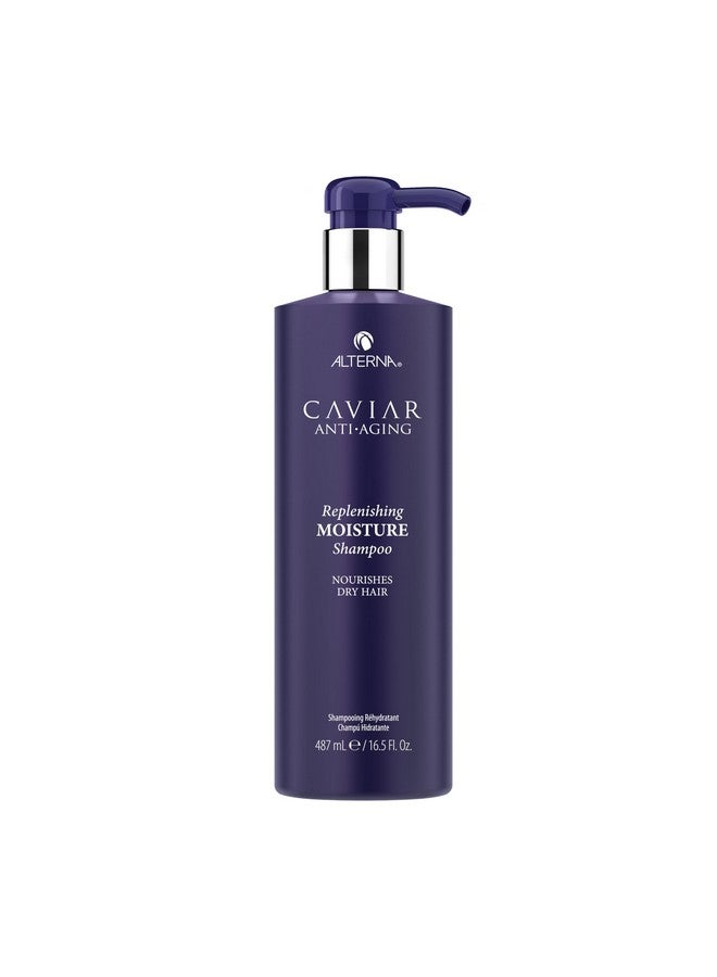 Alterna Haircare Caviar Anti-Aging Replenishing Moisture Shampoo, 16.5 Oz - Image 1