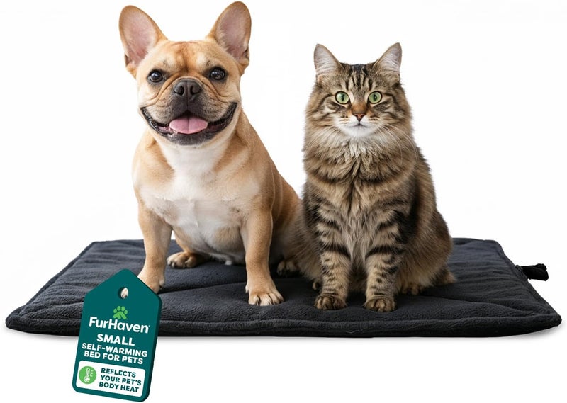 Furhaven ThermaNAP Self-Warming Cat Bed for Indoor Cats & Small Dogs, Washable & Reflects Body Heat - Quilted Faux Fur Reflective Bed Mat - Black, Small - Image 1