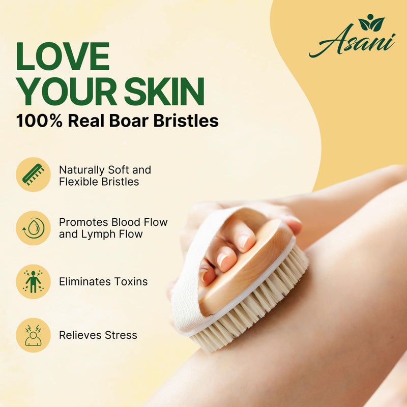 Asani Dry Brushing Body Brush Set for Lymphatic Drainage & Cellulite - 3-Pcs Detachable Back, Contour Body & Face Brushes Organic Gift for Dry Skin, Exfoliation, Invigorating Showers - Image 2