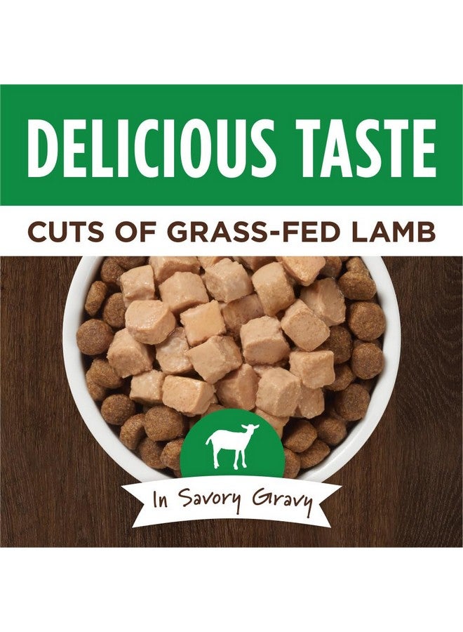 غريزة طعام الكلاب الرطب الطبيعي "إنستينكت هيلثي كرافينغز"، خالي من الحبوب - لحم ضأن حقيقي، 3 أونصات (عبوة من 24 كيسًا) - Image 2