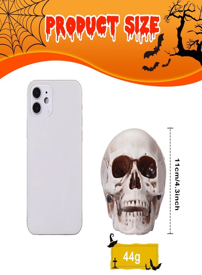 Sratte 4 Pcs Halloween Human Skull Model Human Adult Skull Plastic Skull Decor Fake Skull Decorations Realistic Skull Head Decor Head Bone Model Human Skeleton Head Human Skull Statue (4.3 Inch) - Image 3