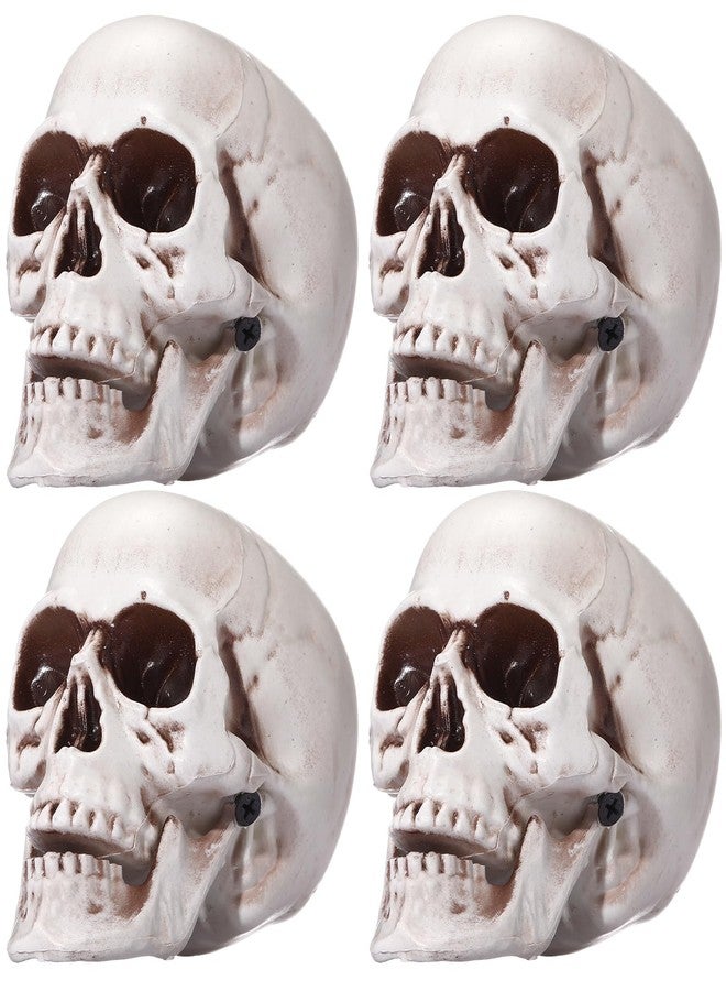 Sratte 4 Pcs Halloween Human Skull Model Human Adult Skull Plastic Skull Decor Fake Skull Decorations Realistic Skull Head Decor Head Bone Model Human Skeleton Head Human Skull Statue (4.3 Inch) - Image 1