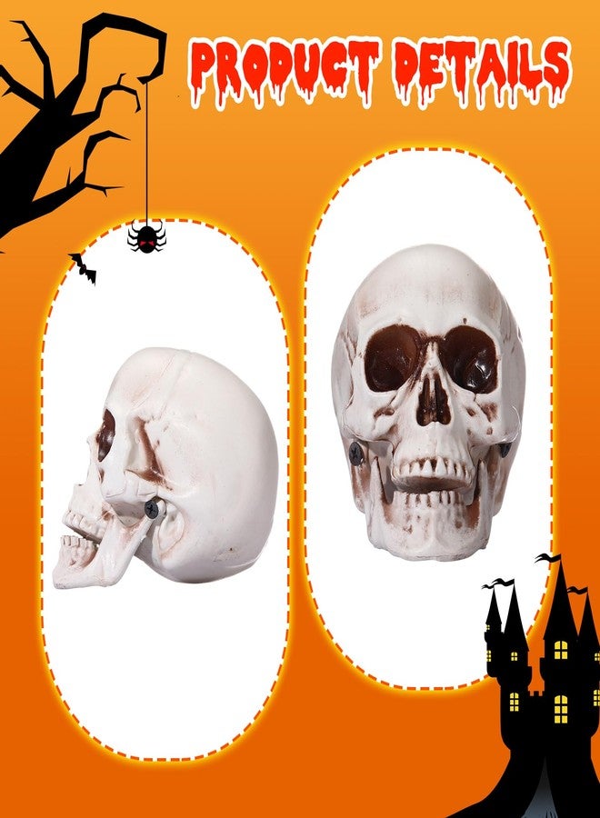 Sratte 4 Pcs Halloween Human Skull Model Human Adult Skull Plastic Skull Decor Fake Skull Decorations Realistic Skull Head Decor Head Bone Model Human Skeleton Head Human Skull Statue (4.3 Inch) - Image 2