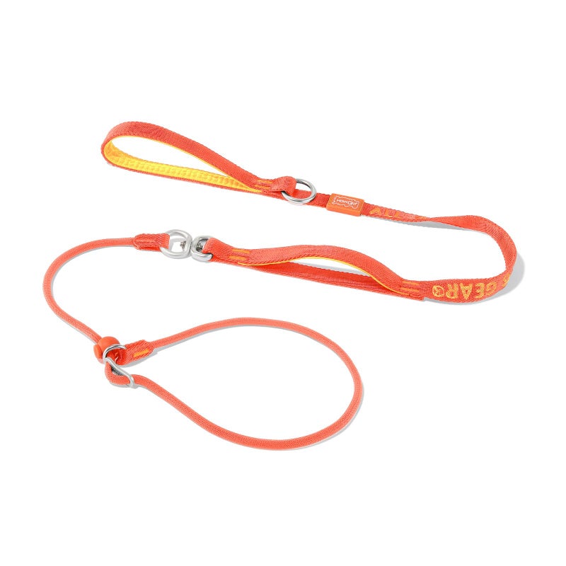 HOWGO Slip Lead Dog Leash with Double Handles | Reflective Dog Training Lead with 360Â° Swivel Anti-Tangle | Heavy-Duty Leash and Collar for Large Medium and Small Dogs No-Pull Walking (Orange, 5.5FT) - Image 1