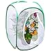 SunGrow Foldable Butterfly Habitat 24 Butterfly Cage for Caterpillars Create Farm Enclosure for Breeding Soldier Fly Ladybug Dragonfly or Housefly for Chicken and Reptile Feed Green - Image 3