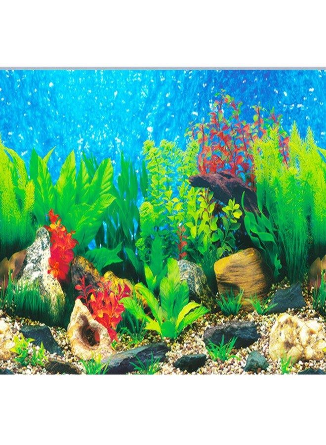 ELEBOX New 20" x 48" Fish Tank Background 2 Sided River Bed & Lake Background Aquarium - Image 2
