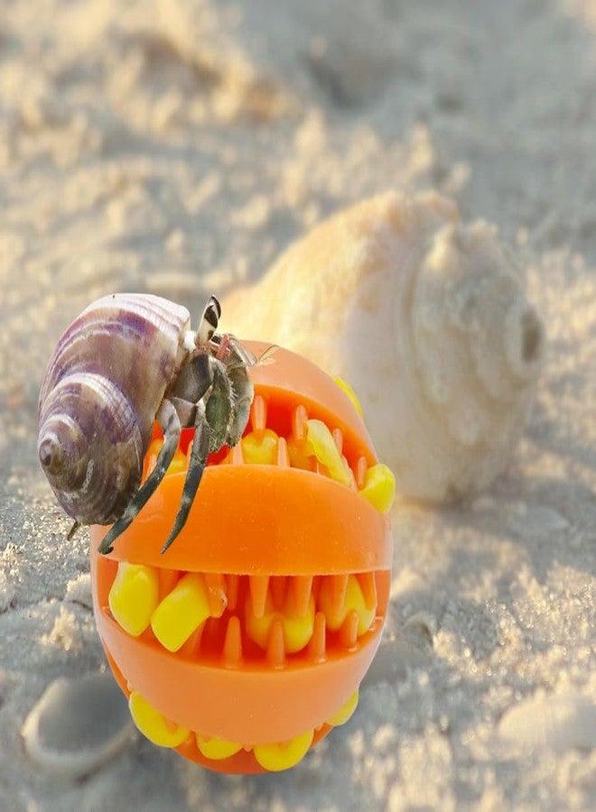 MAGNEECH 2 Pcs Hermit Crab Toys,Hermit Crab Treat Ball/Feeder Ball,Hermit Crab Wheel are Perfect Decorations and Accessories for Aquariums and Tanks - Image 5