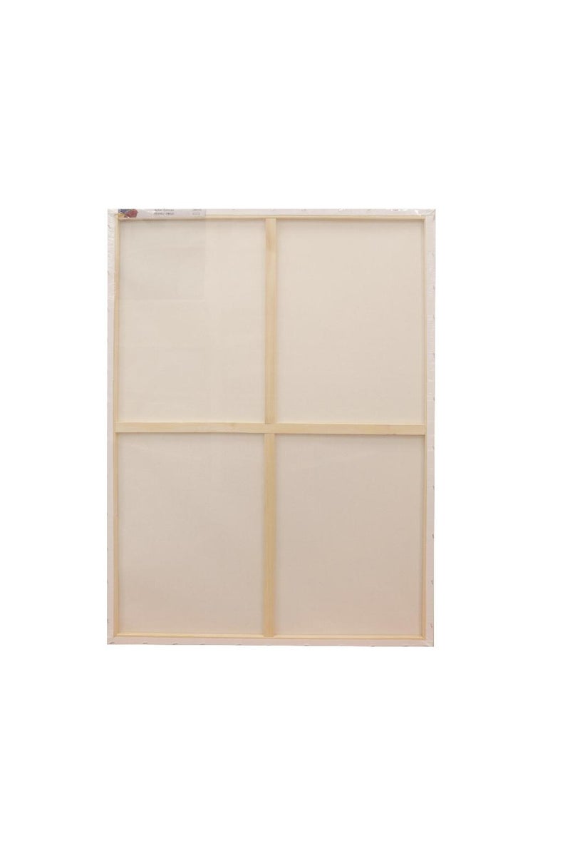 ROCO Stretched Canvas Rectangle Rough Finish75 X 100 cm - Image 2
