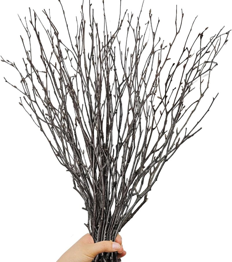 Koceko 30Pcs Real Dried Birch Twigs - 17â€ Decorative 100% Natural Birch Branches for Easter Vases, Curly Willow Branches, DIY, Floral Arrangement, Twig Wreath, Centerpiece, Rustic Home Decor - Image 1